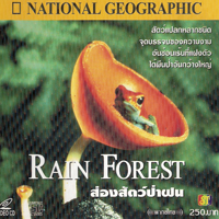 ส่องสัตว์ป่าฝน / Rain Forest