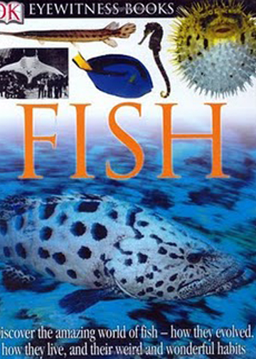 DK Eyewitness : Fish