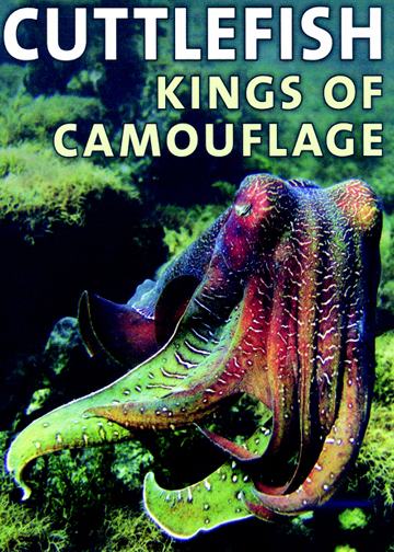 Cuttlefish Kings of Camouflage